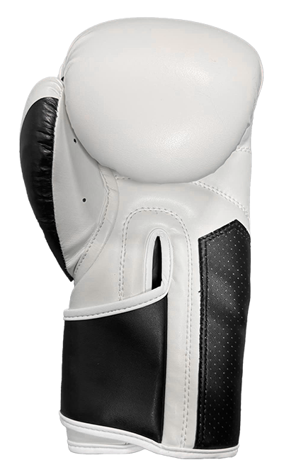 Gants de boxe PU New gen